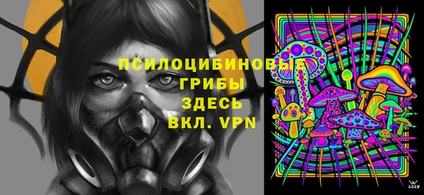 прущая мука Краснослободск