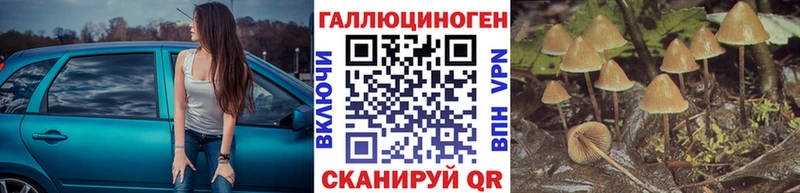 Галлюциногенные грибы ЛСД ссылка на мегу вход площадка клад Кораблино